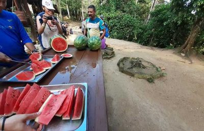group eating watermelon